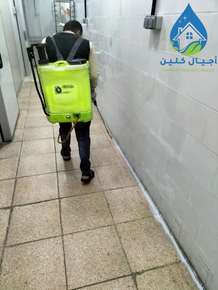 القضاء على الحشرات