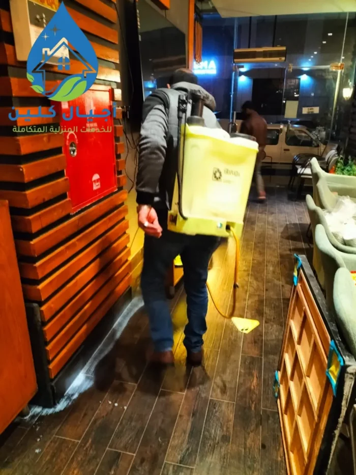 شركة رش حشرات