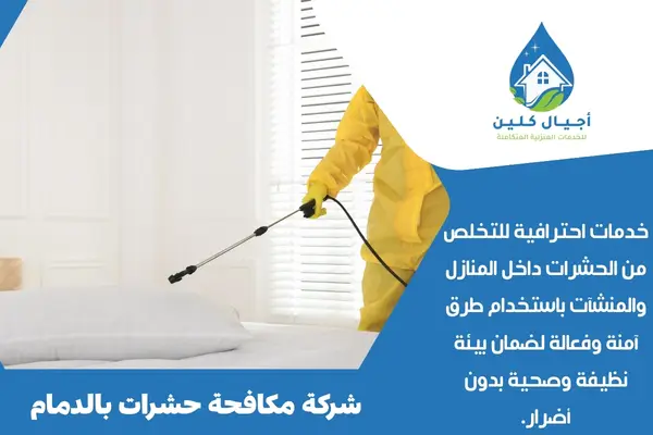 شركة مكافحة حشرات بالدمام