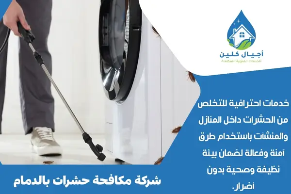 شركة مكافحة حشرات بالدمام