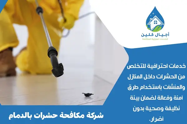 شركة مكافحة حشرات بالدمام