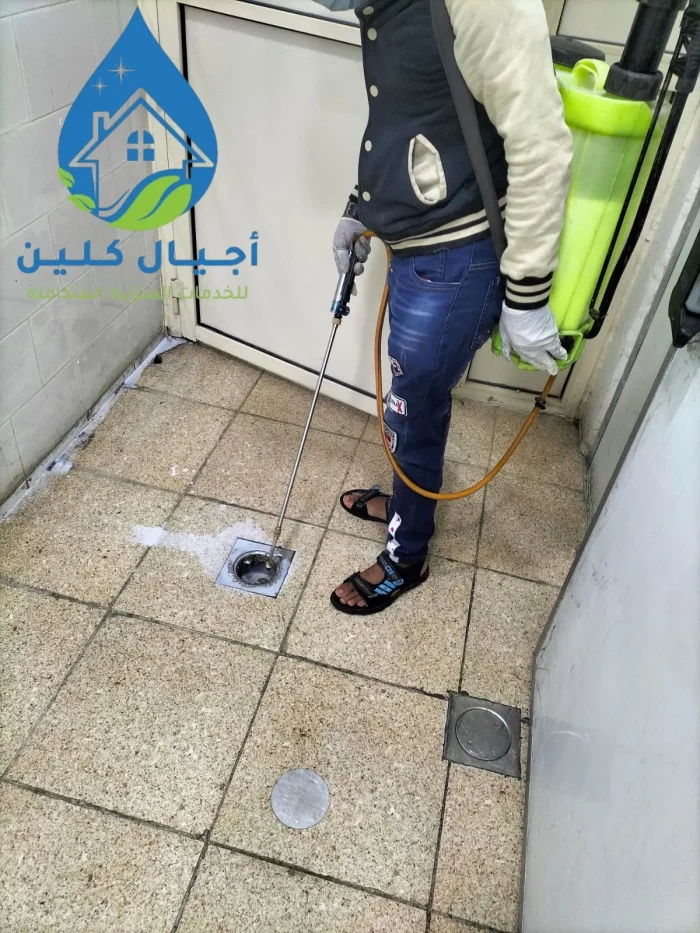 مكافحة حشرات الحمام
